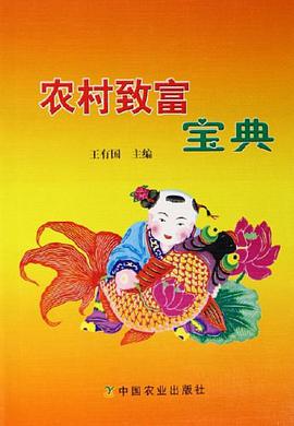 农村致富宝典 pdf epub mobi 电子书 下载
