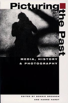 Picturing the Past pdf epub mobi 下载