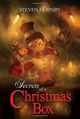 Secrets of a Christmas Box pdf epub mobi 电子书 下载
