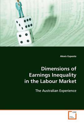 Dimensions of Earnings Inequality in the Labour Market pdf epub mobi 下载