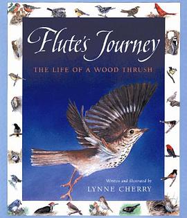 Flute's Journey pdf epub mobi 电子书 下载