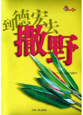 到德宏去撒野 pdf epub mobi 电子书 下载