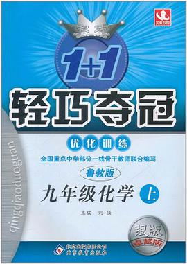 九年级化学（上 鲁教版） pdf epub mobi 电子书 下载
