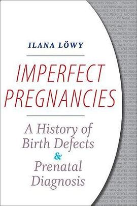 Imperfect Pregnancies pdf epub mobi 下载