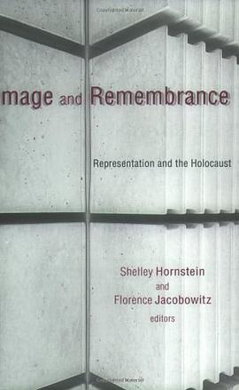 Image and Remembrance pdf epub mobi 电子书 下载