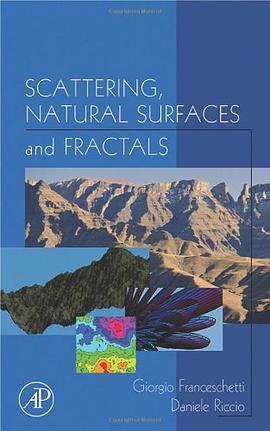 Scattering Natural Surfaces and Fractals pdf epub mobi 下载