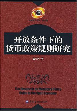 开放条件下的货币政策规则研究 pdf epub mobi 电子书 下载
