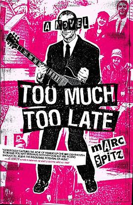 Too Much, Too Late pdf epub mobi 电子书 下载