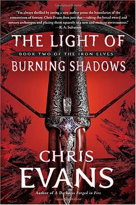 The Light of Burning Shadows pdf epub mobi 电子书 下载
