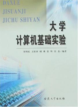大学计算机基础实验 pdf epub mobi 电子书 下载