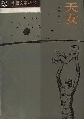 天女 pdf epub mobi 电子书 下载