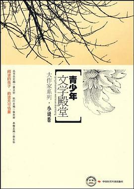 小说卷-青少年文学殿堂 pdf epub mobi 电子书 下载