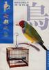七彩文鸟 pdf epub mobi 电子书 下载