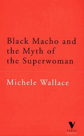 Black Macho and the Myth of the Superwoman (Verso Classics) (Verso Classsics, 26) pdf epub mobi 电子书 下载
