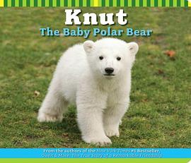 Knut The Baby Polar Bear pdf epub mobi 电子书 下载