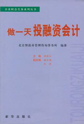 做一天投融资会计 pdf epub mobi 电子书 下载