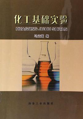化工基础实验 pdf epub mobi 电子书 下载