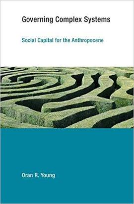 Governing Complex Systems pdf epub mobi 下载