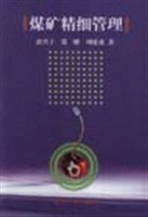 煤矿精细管理 pdf epub mobi 电子书 下载