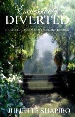 Excessively Diverted pdf epub mobi 电子书 下载